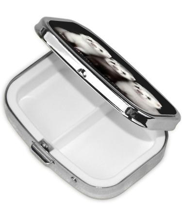 Ferrets Printing Small Pill Case | 2 Compartment Travel Pill Organizer | Cute Pill Box for Purse & Gifts - Buy Online on GoSupps.com