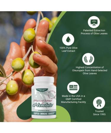 East Park Olive Leaf Extract Super Strength d-Lenolate 500mg | Immune System Booster with 18% Oleuropein | 60 Vegetarian Capsules - Buy Online on GoSupps.com