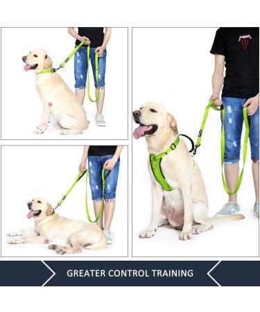 Pioneer Petcore 6ft Dog Lead - Heavy Duty Reflective Dual Handle Leash for Large and Medium Dogs - Green - Buy Online on GoSupps.com