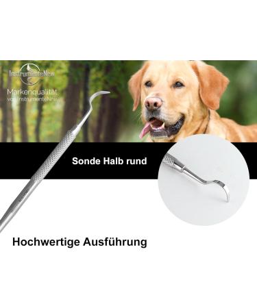 Premium Stainless Steel Dog Tartar Scraper - Effective Pet Dental Care Tool for Tartar Removal - Buy Online on GoSupps.com
