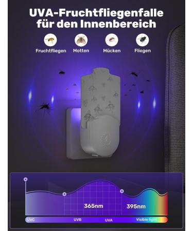 YISSVIC Electric Fruit Fly Trap with UV Light & 5 Stickers - Effective Kitchen & Interior Solution - Buy Online on GoSupps.com