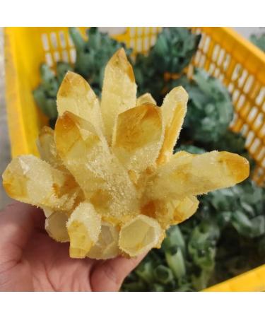 Home Decoration 500-1000g Natural Yellow Ghost Phantom Quartz Crystal Cluster Specimen Home Decoration Office Living Room Crystal Decora Stones PEIQIYIN Stone Mineral Specimen (Size : 900-1000g) - Buy Online on GoSupps.com