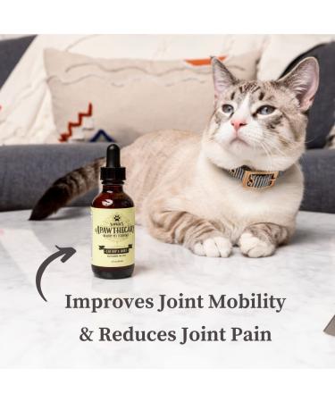 Sophie's Apawthecary Cat Glucosamine Liquid Supplement 2 oz - Pain Relief & Joint Flexibility - Buy Online on GoSupps.com