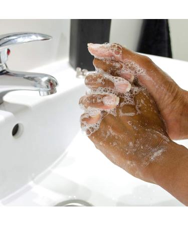 Ginger Lily Farms Botanicals ZeroDerm Advanced Therapy Nourishing Liquid Hand Soap Refill - 128 Fl Oz, Vegan & Cruelty-Free, Fragrance-Free, Unscented - Buy Online on GoSupps.com