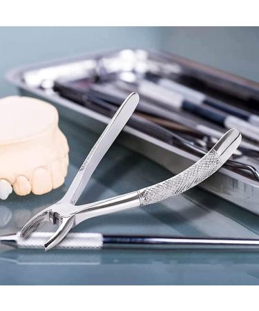 Mzlaly Dance Suit for Children | Stainless Steel Dental Extraction Instruments - 10 Piece Kit for Adults | Durable Dental Tongs in Silver - Buy Online on GoSupps.com