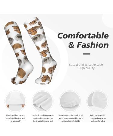 Shop Hamster Compression Socks for Men & Women | 15-20 mmHg Support for Running & Cycling - Buy Online on GoSupps.com