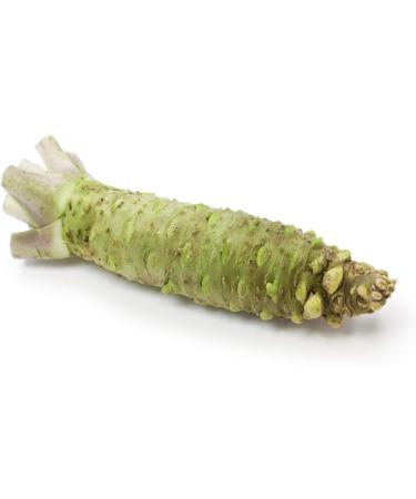Wasabi Spice Preparation Wasabi Paste Powder Sushi Wasabi Sachet 1000 g (1.0 kg) - Buy Online on GoSupps.com