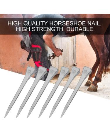 High Tensile Strength Horseshoe Nails - E5 Quality | 250 Easy-to-Use Hoof Nails for Horses - International Shipping - Buy Online on GoSupps.com
