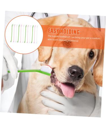 Levemolo 12pcs Double Head Dog Toothbrush Dog Oral Cleaning Toothbrush Cat Toothbrush and Toothpaste Pet Pp - Buy Online on GoSupps.com