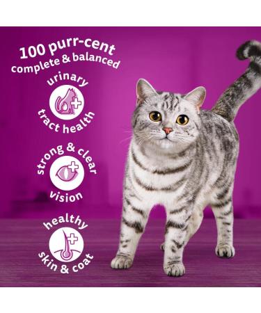 Buy WEUANY Whiskas 1+ Tuna Pack of 5 x 800g - Premium Adult Cat Dry Food | Fast International Shipping - Buy Online on GoSupps.com