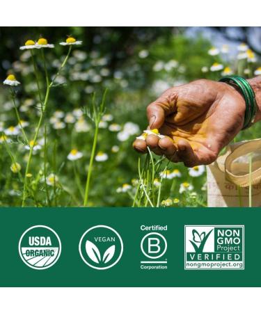 ORGANIC INDIA Neem Herbal Supplement - Supports Skin Immune & Liver Health Detox Healthy Inflammatory Response Vegan Gluten-Free USDA Certified Organic - 90 Capsules 2 Pack - Buy Online on GoSupps.com