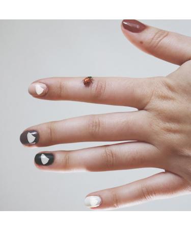 Ciieeo Perles de Verre Concass Transparent 200 G pour Remplissage poxy Nail Art Diy Breloques Irr guli res pour Accessoires Manucure D coration Ongles et Cr ations R sine - Buy Online on GoSupps.com