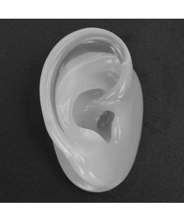 Silicone Ear Model for Display & Ear Impression Practice - Realistic Artificial Right Ear for Prosthetic Head - Buy Online on GoSupps.com