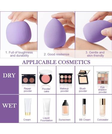 AUAUY 6 Pcs Makeup Sponges Blender Set 4 Pcs Professional Beauty Sponge Foundation Blending Blender with 1 Sponge Holder 1Powder Puff Multi-colored Makeup Sponges for Cream Liquid and Powder 4pcs-Mixed color - Buy Online on GoSupps.com