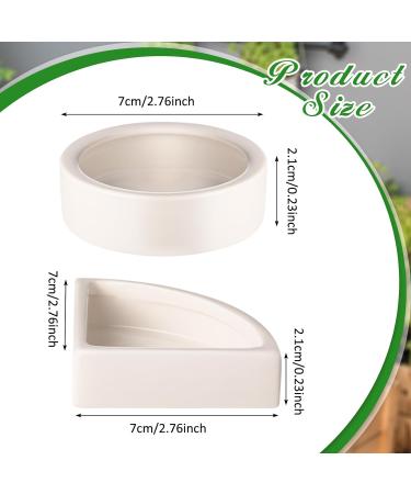 Ziliny 2 Pcs Reptile Feeding Tongs Stainless Steel Long Handle Tweezers Straight and Bent Rubber Tipped Tweezers with 2 Pcs Reptile Food Dish Bowl Terrarium Feeder Tools for Gecko Snake (10'' 10.5'') - Buy Online on GoSupps.com