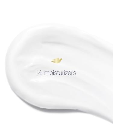 Dove Invisible Solid Antiperspirant Deodorant Stick for Women Powder For All Day Underarm Sweat & Odor Protection 2.6 oz 2.6 Ounce (Pack of 1) Fresh - Buy Online on GoSupps.com