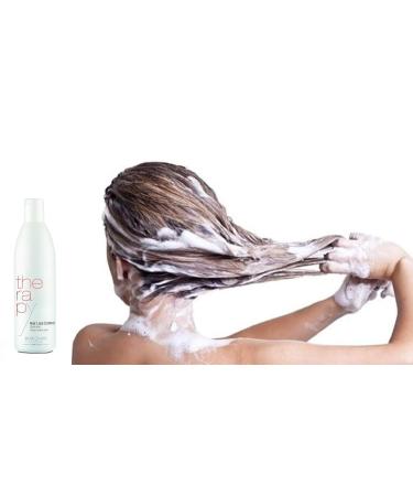 PostQuam Professional Anti Hair Loss Shampoo 500ml | Spanish Regrowth Treatment | Nourishes & Strengthens Hair | Placenta Extract - Buy Online on GoSupps.com