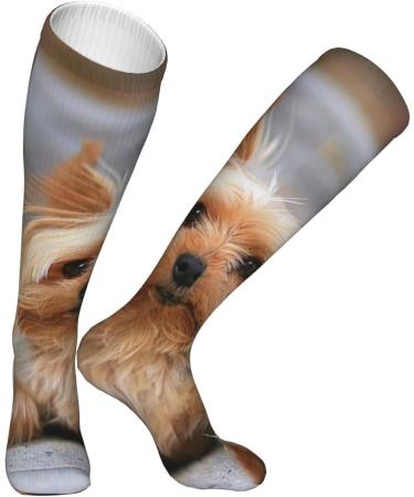 Miniature Yorkshire Terrier Photo Compression Socks for Men & Women - 15-20 mmHg Circulation Support for Running & Cycling - Buy Online on GoSupps.com