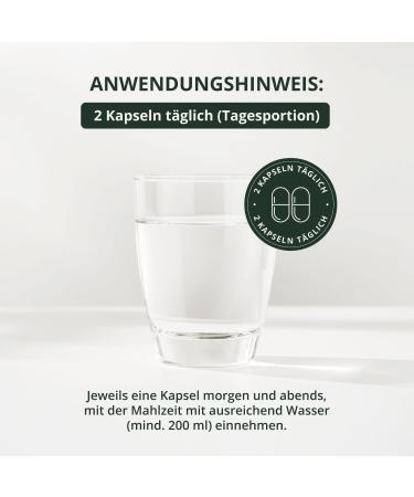  BodyFokus BodyFokus UroKraft Active | Unique Composition 60 Capsules Made in Germany - Buy Online on GoSupps.com