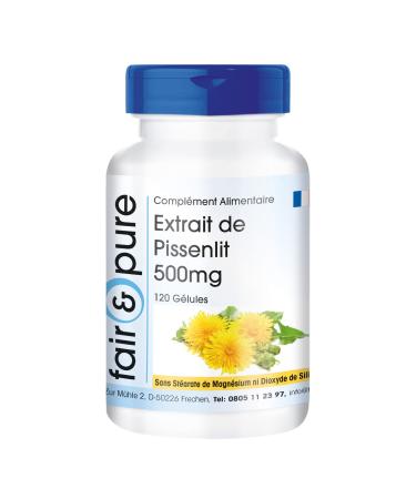 Fair & Pure - Dandelion extract 500 mg dandelion root - vegan - 10 times concentrated - 120 capsules