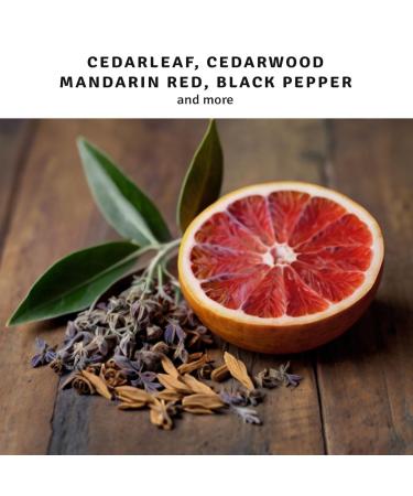 Herban Cowboy Forest Men's Cologne with Hints of Cedar Mandarin and Black Pepper (1.7 fl oz) - Buy Online on GoSupps.com