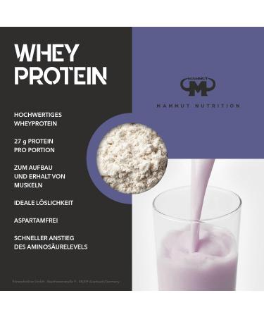 Whey Protein Blueberry Cheesecake 3000g - Premium 3kg Muscle Recovery Supplement | Free International Shipping - Buy Online on GoSupps.com