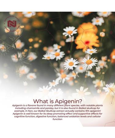 Nootropics Depot Apigenin Capsules | 50mg | 60 Count | 98% Apigenin | Supports Relaxation Joint Health and NAD+ Levels 1 Count (Pack of 60) - Buy Online on GoSupps.com