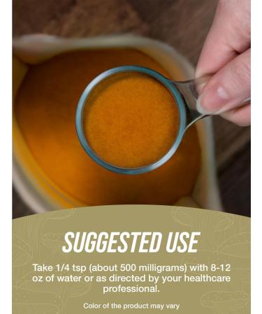 BulkSupplements.com Black Fungus Mushroom Extract Powder - Wood Ear Mushrooms Powder - Vegan & Gluten Free 500mg per Serving 250g (8.8 oz) (Pack of 1) 8.8 Ounce (Pack of 1) - Buy Online on GoSupps.com