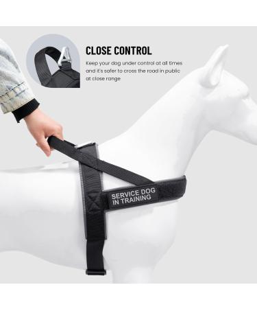 Buy Elite Spanker Tactical Dog Dishes Vest - Adjustable Nylon Pet Bowl for Small Medium & Large Dogs (Black) - Buy Online on GoSupps.com