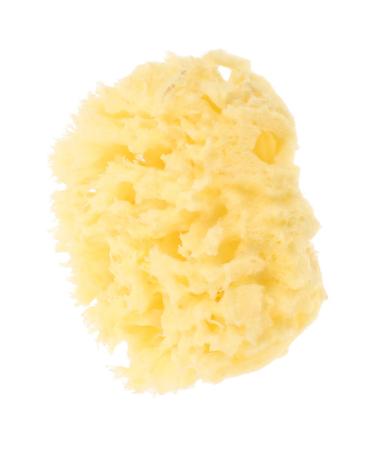 Beaupretty Moisturizer Body for Shower Shower for Women Natural for Bathing Bath for Shower Wash Sponge for Showering Bath Sponge for