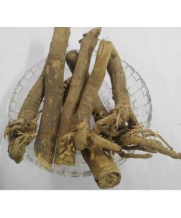 RAW HERBS/JADI BOOTI DRIED SAUNF JADD FENNEL ROOT (50GM) - Buy Online on GoSupps.com