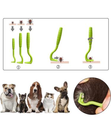 PQLQ Tick Card - 6 Piece Tick Removal Tool Set with Magnifying Glass for Pets & Humans | Quick & Gentle Tick Removal - Buy Online on GoSupps.com