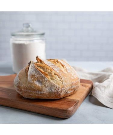 San Francisco Sourdough Culture - 1 Packet (0.19 oz) | Cultures for Health - Buy Online on GoSupps.com