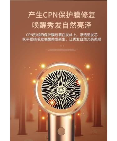 New Hair Dryer Anion Fast Drying Low Noise Hair Dryer Cold and hot Hair Dryer Black gold purple - Buy Online on GoSupps.com