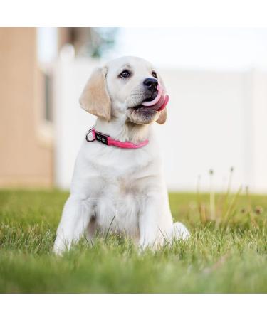 PCEOTLLAR Luminous Dog Collar - Adjustable LED Light & Reflective Neck Tape for Small Medium & Large Dogs - Pink (38-50cm) - Buy Online on GoSupps.com