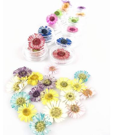 Flower Nail Art Real Flowers for Nails 3D Nail Stickers with Nature Dry Flowers for Nairl Art - Buy Online on GoSupps.com