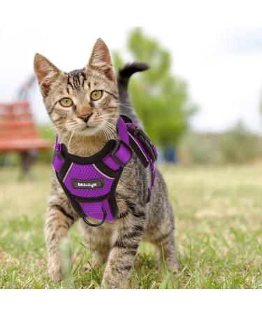 Breakproof Cat Leash Set with Adjustable Reflective Vest & Dishes for Small Kittens - Purple XS - Buy Online on GoSupps.com