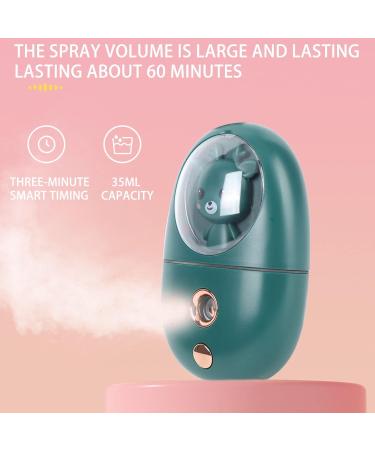 Gavigain 35ml 500mah Handheld Face Steamer Cute Animal Facial Mist Sprayer USB Rechargeable Mini Eye Face Humidifier for Travelling (Green) - Buy Online on GoSupps.com