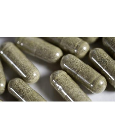 Fast-Acting Natural Weight Loss Supplement - Appetite Suppressant and Fat Burner for Women and Men - 2 Months Supply (180 Capsules) - Buy Online on GoSupps.com