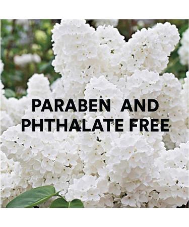 Camille Beckman Glycerine Hand Therapy Cream - White Lilac 8oz (Pack of 1) - Buy Online on GoSupps.com