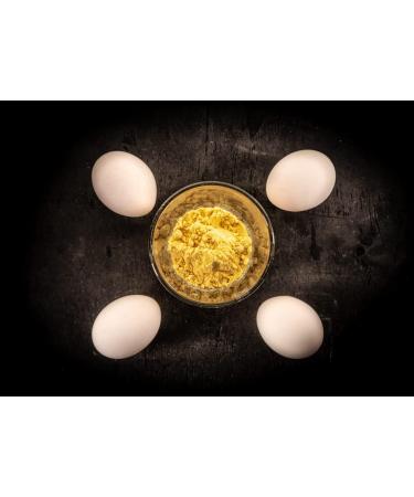 Buy 10x 500g Whole Egg Powder | Spray Dried Eggs for Cooking & Baking | Buxtrade International Shipping - Buy Online on GoSupps.com