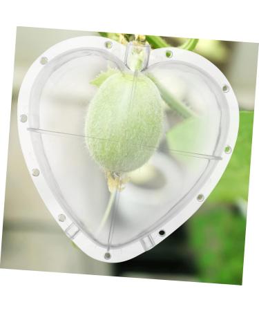 SUPVOX Fruit Forming Heart Shaped Watermelon Molds Fruit Watermelon Mould Vegetable Cucumber Shaper - Buy Online on GoSupps.com