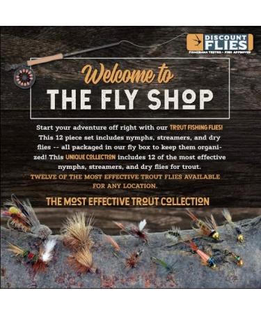 DiscountFlies Terrestrial Dry Fly Fishing Kit w/ Fly Box - 12 Realistic Trout Flies for Effective Fishing - Buy Online on GoSupps.com