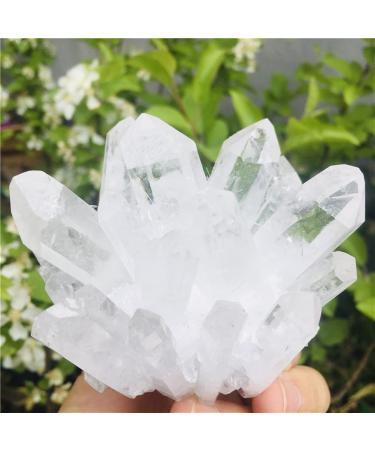 Natural Clear Quartz Crystal Cluster Minerals for Reiki Stone Home Furnishing Decoration Suitable for Furniture Decoration Full of Texture (Size : 700-800g)