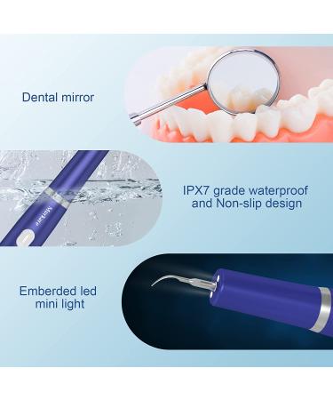 Dental Care Kit with LED Light - Teeth Cleaning Tools with 3 Modes, 4 Replaceable Heads, Oral Mirror - Teeth Whitening and Oral Hygiene Set - Buy Online on GoSupps.com