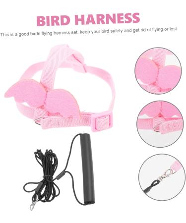 OATIPHO 1 Set Bird Leash Suspend Parrot Flying Harness Bird Flying Bird Harness and Leash Strap Lizard 12X6X1.3CM Pink - Buy Online on GoSupps.com
