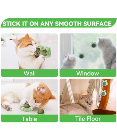 Aucenix Catnip Balls Toy for Cat Wall Catnip Roller for Cat Licking Teeth Cleaning Dental Edible Kitten Toy Natural Rotating Cat Balls Cat Nip Balls Cat Toy (Green-2pcs) - Buy Online on GoSupps.com
