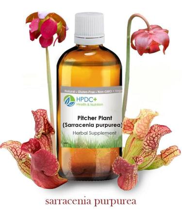 HPDC+ Health & Nutrition Pitcher S. Pox Plant/Sarracenia purpurea Tincture Tincture Extract 1 fl oz / 30ml (1.00 fl oz / 30ml) - Buy Online on GoSupps.com
