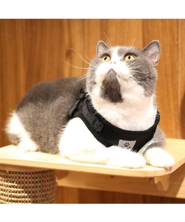 MYKOMI Comfort Step-in Cat Harness and Leash Set - Escape Proof Pet Vest for Small Animals - M 3-4.5KG Black - Buy Online on GoSupps.com