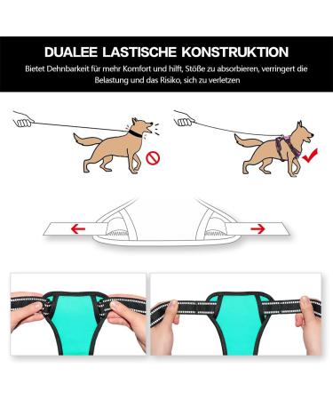 POPOT No Pull Dog Harness - Front Reflective Pet Vest for Daily Training & Walking Mint Blue (Size M) - Buy Online on GoSupps.com